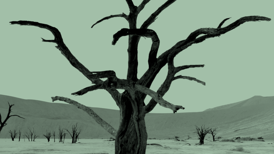 CORE LIBRARY: Climate change