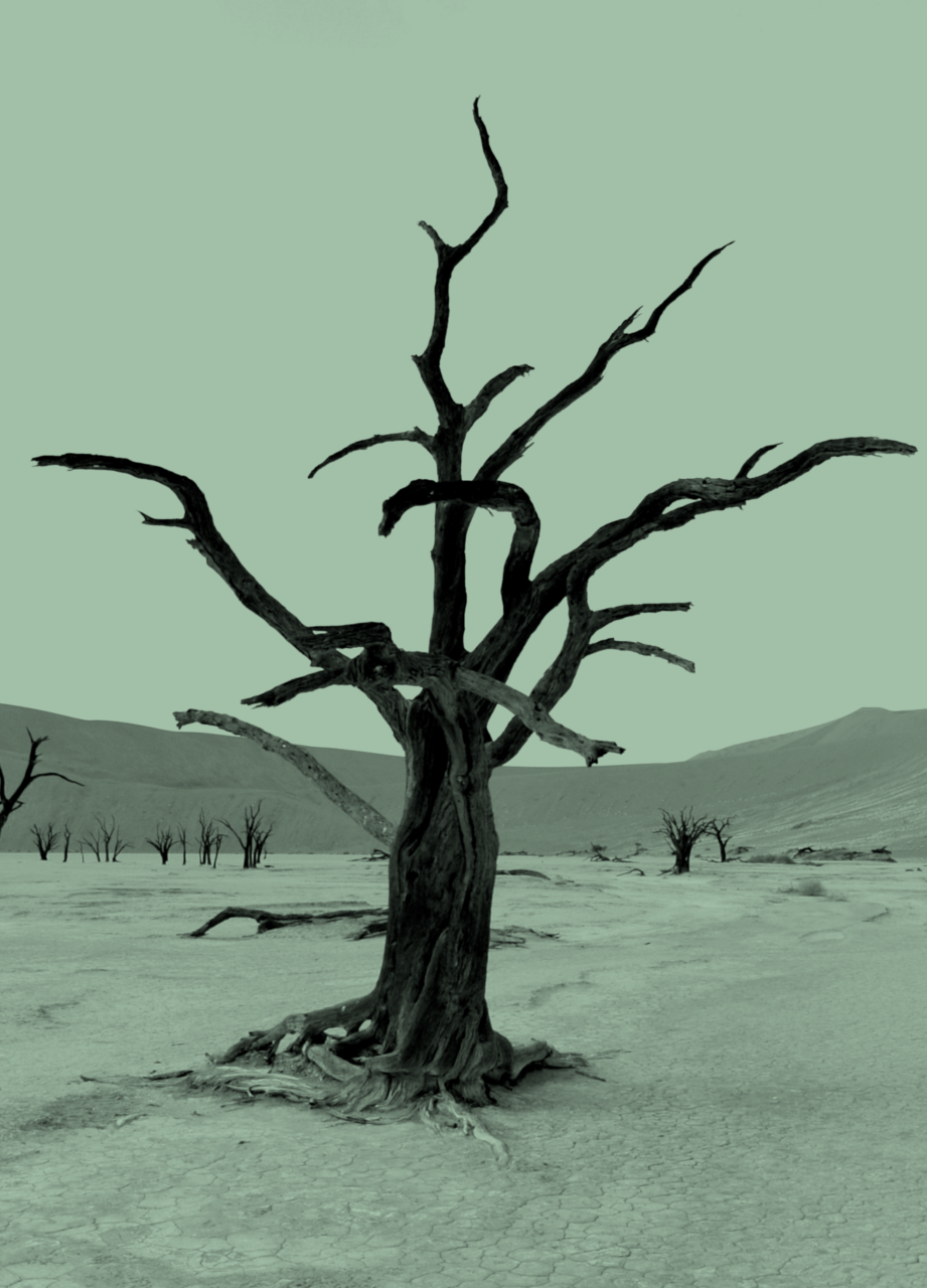 CORE LIBRARY: Climate change