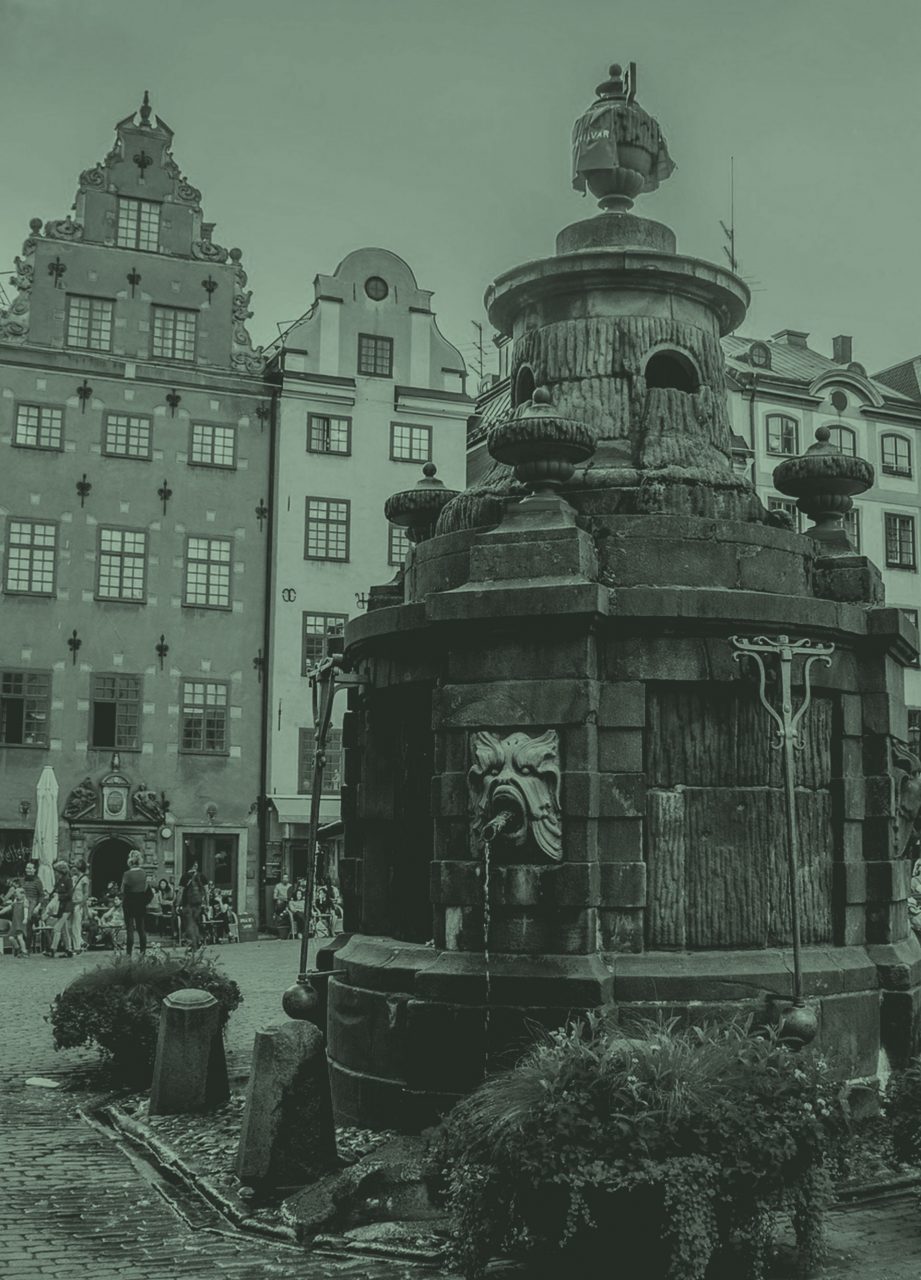 SWEDEN: The role of gender in driving and dismantling white supremacy